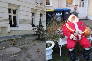 Weihnachtsdeko in zwei Vorgärten