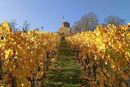 Burgruine Weibertreu im Landkreis Heilbronn 