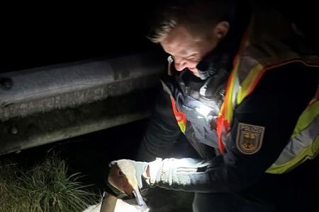 Bundespolizisten retten verletzten Schwan
Foto Bundespolizei