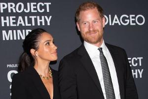 Für 85.000 Euro? Konnte man ein Dinner mit Harry und Meghan kaufen?