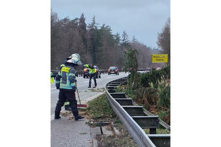 Aufräumarbeiten nach dem Entfernen des Baumes