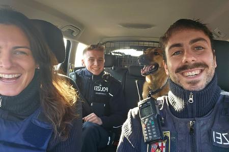 Hund im Streifenwagen