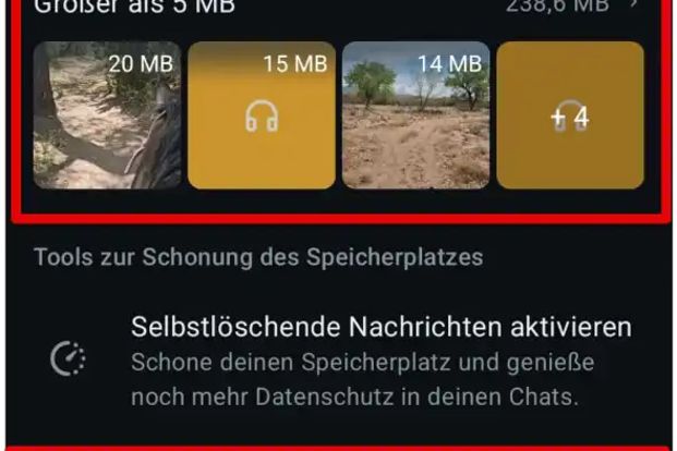 Unter „Speicher verwalten“ siehst Du nicht nur, wie viel Speicherplatz WhatsApp insgesamt benötigt, sondern auch, welche Dateien besonders viel Raum beanspruchen.