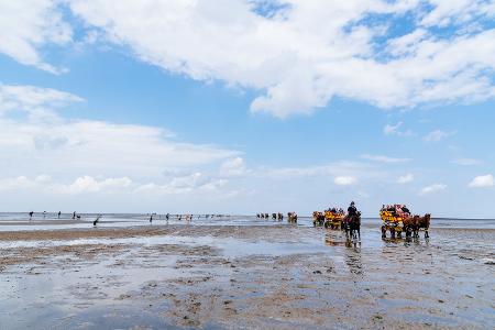 Nationalpark Hamburgisches Wattenmeer