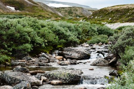 Dovrefjell Sunndalsfjella Nationalpark
