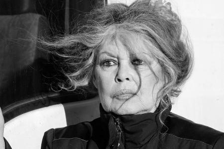 Französische Film-Ikone Brigitte Bardot ist tot