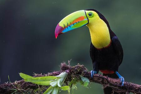 Die Frage nach der Größe