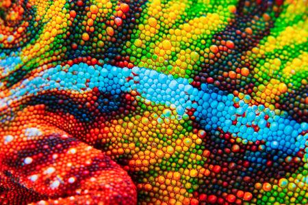 Farbwechsel nach Lust und Laune