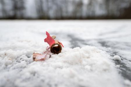 Im Dezember waren sich die Innenminister von Bund und Ländern bei einem Treffen in Bremen nicht einig über ein Böllerverbot geworden. (Archivfoto)