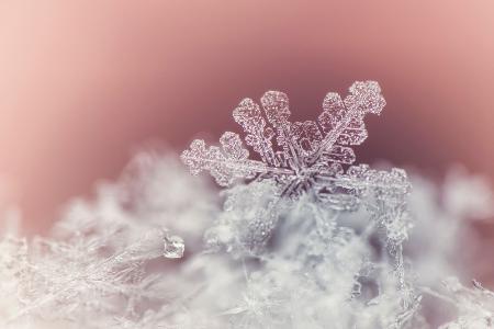 Die größte Schneeflocke