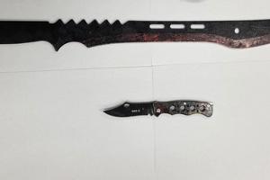 Machete und Messer im Bahnhof Neumünster sichergestellt.
Foto Bundespolizei