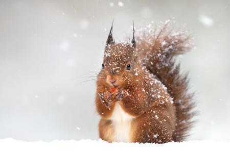 Hilfe beim Überwintern