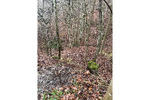 Lichtbild der Abfallablagerung in Kollig