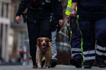 Auch ein Hund war bei der Suche im Einsatz.