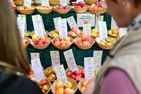 Besucher können sich über Lebensmittel informieren.