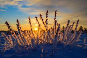 Sonne und kalte Luft erwarten die Meteorologen zum Wochenbeginn. (Archivbild)