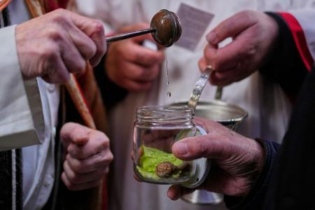 Die Tradition der katholischen Tiersegnung geht auf das Mittelalter zurück. Früher ließen die Bauern ihr Vieh segnen, heute sind es vor allem Städter, die ihre Lieblinge immer an einem 17. Januar, dem Fest von San Antón, dem Schutzeiligen der Tiere, zur Kirche tragen. 