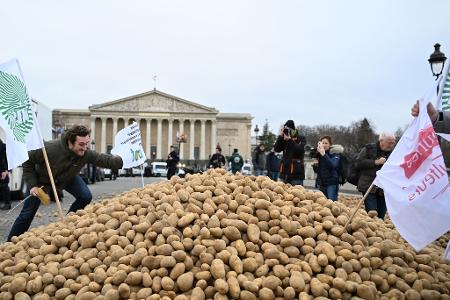 Europäische Bauern fürchten einen harten Preiskampf mit den südamerikanischen Farmern. (Archivbild)