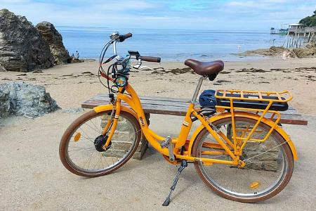Frankreich, Westfrankreich, Pays de la Loire, Atlantikküste, Fahrrad, Strand