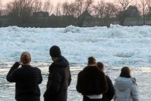 Zahlreiche Menschen nutzten das Wochenendende, um an der Elbe ein seltenes Naturspektakel zu bewundern: Eisberge auf dem Fluss.