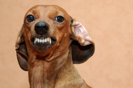 Jemandem auf den Sack gehen