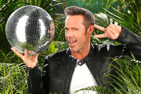 Dschungelcamp-Aufreger: Benjamin Boyce und die häusliche Gewalt (2015)