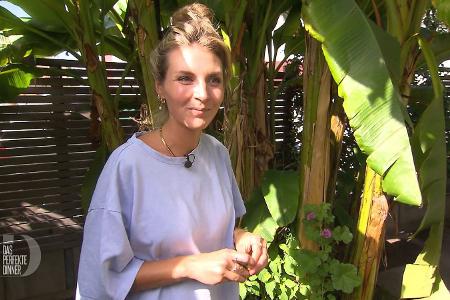 Das perfekte Dinner - Tag 5