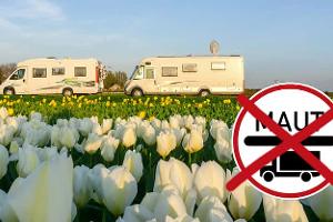 Niederlande, Womos, Tulpen, Maut-Schild