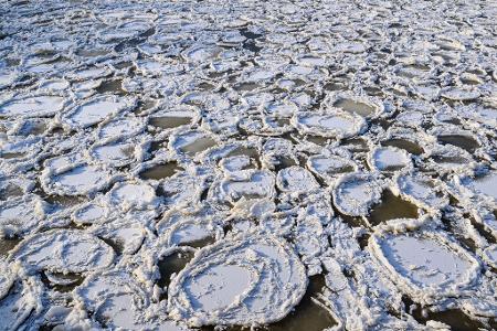 Eisteller auf der Oder