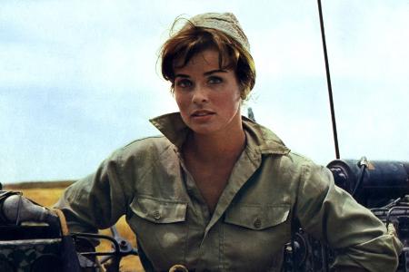 Der Schatten des Giganten (1966)