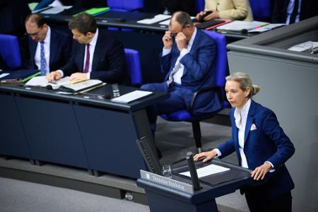 Weidel will Außenpolitik an nationalen Interessen ausrichten.