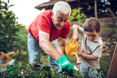 Großvater gärtnert mit seinem Enkel in einem Beet