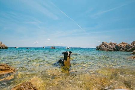 Wohnmobil-Touren November - Hunde Camping