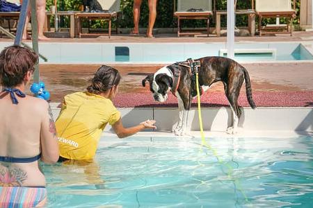 Wohnmobil-Touren November - Hunde Camping