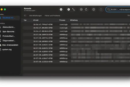 Die Konsole zeigt Dir alle DNS-Einträge an.