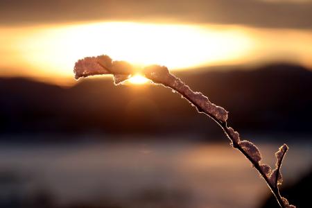 Zeitweise sonnig: Darauf können sich die Menschen am Montag im Nordosten sowie ganz im Süden freuen. (Archivbild)
