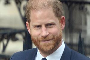 Kommt Prinz Harry im Sommer nach Birmingham?