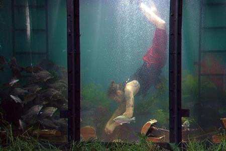 Tag 10 im Dschungelcamp 