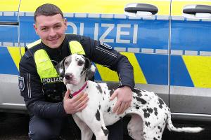 2026-02-02_Eigentümer_gesucht