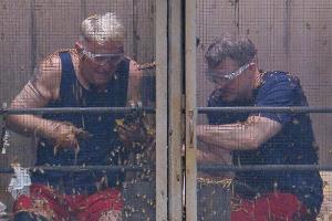 Zu faul im Dschungelcamp? Das empfiehlt Dr. Bob Hubert und Hardy