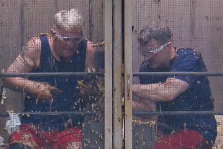 Zu faul im Dschungelcamp? Das empfiehlt Dr. Bob Hubert und Hardy