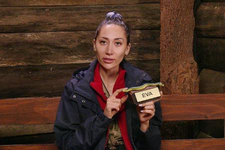 Tag 12 im Dschungelcamp