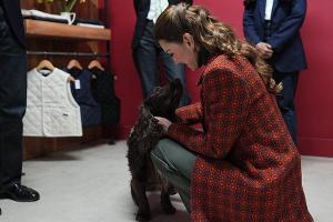 Neuer Hund für die Royals: Prinzessin Kate bestätigt Familienzuwachs