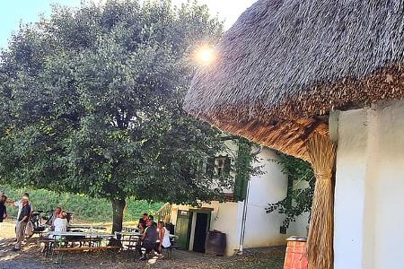 Burgenland Reise Weinidylle f