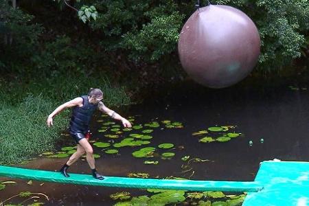 Dschungelcamp: Alle sind 