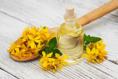 Flasche mit Johanniskrautelixier liegt neben frischen Pflanzen