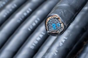 Höchstwahrscheinlich wegen Kabelschäden an einem Bahnübergang kommt es auf der Bahnstrecke zwischen Erfurt und Sangerhausen zu Beeinträchtigungen. (Symbolbild) 