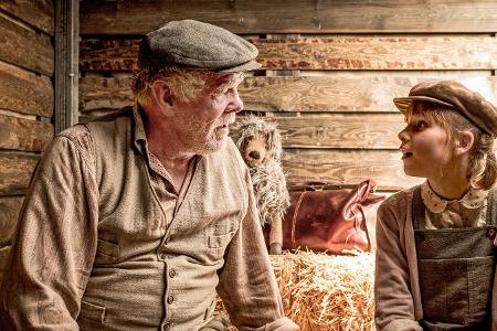 Head full of Honey (2015)