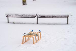 Händler melden eine deutlich höhere Nachfrage nach Produkten wie Schlitten. (Symbolbild)