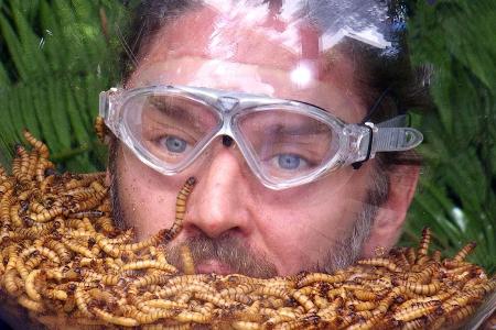 Finale im Dschungelcamp